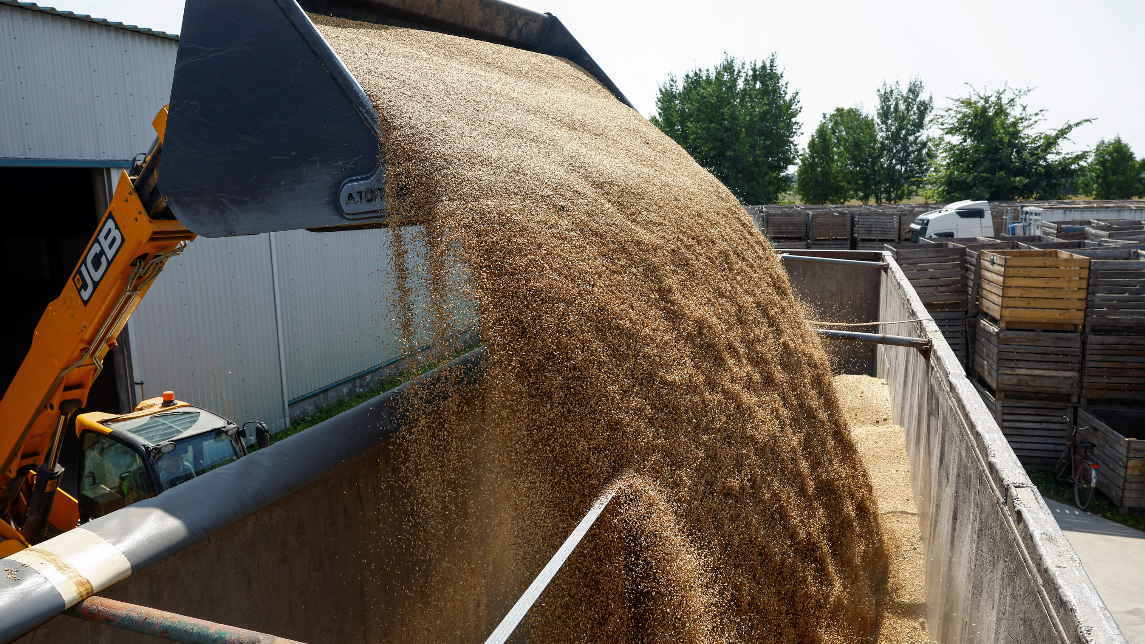 Ukraine's farmers despair as Russia's Black Sea blockade traps their harvest